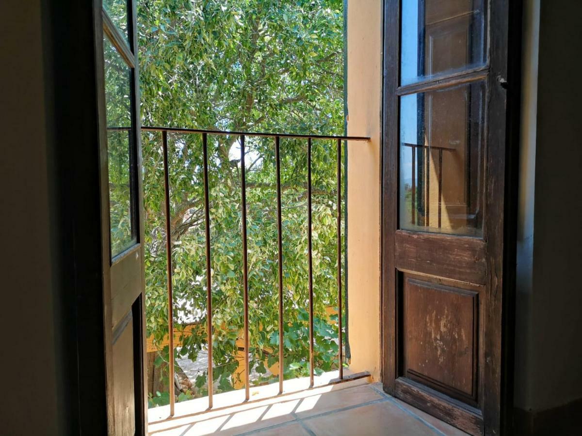 Villa Nice Mallorca Palma de Mallorca Exterior photo